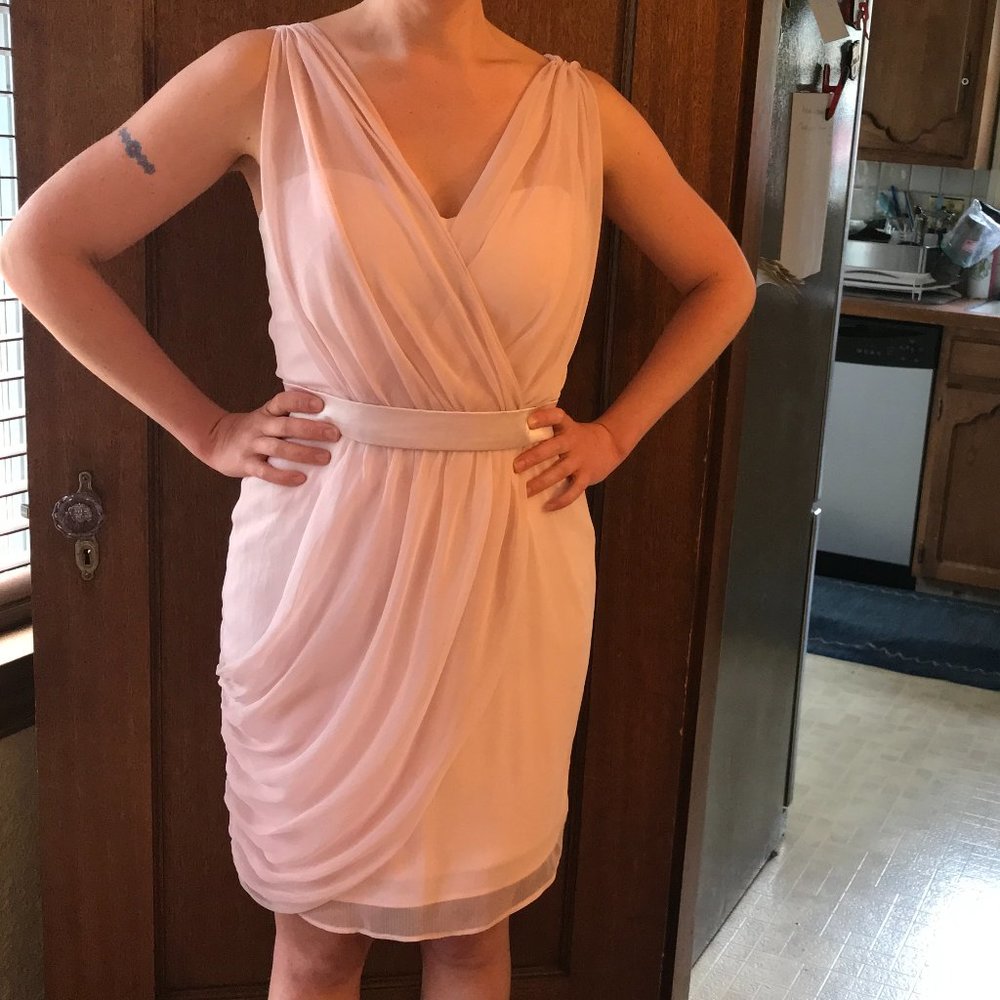 Blush Lela Rose Chiffon Dress